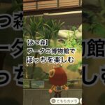 【あつ森】水族館何気にスゲェ#あつまれどうぶつの森 #あつ森 #animalcrossing #acnh #animalcrossingnewhorizons #水族館