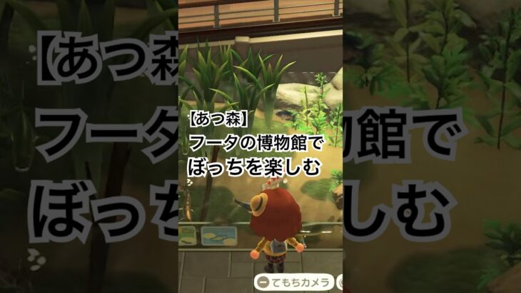 【あつ森】水族館何気にスゲェ#あつまれどうぶつの森 #あつ森 #animalcrossing #acnh #animalcrossingnewhorizons #水族館