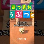 オープニングアクトジュン① #あつ森 #あつまれどうぶつの森 #あつ森好きな人と繋がりたい #animalcrossing #おかめなっ島 #acnh #shorts #ジュン #カラオケ