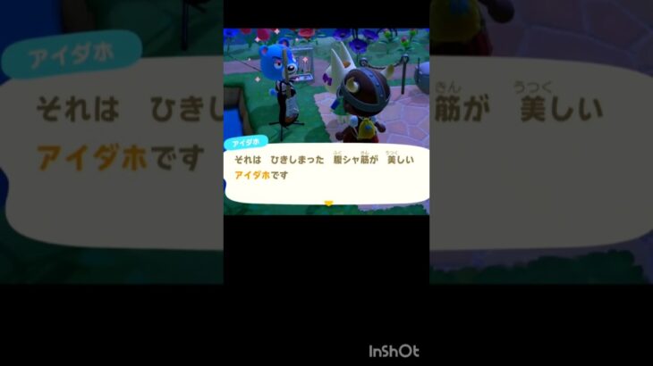 【あつ森】　アイダホ🧸とさっち🐱の会話。アドリブ返しの練習？#animalcrossing #shorts