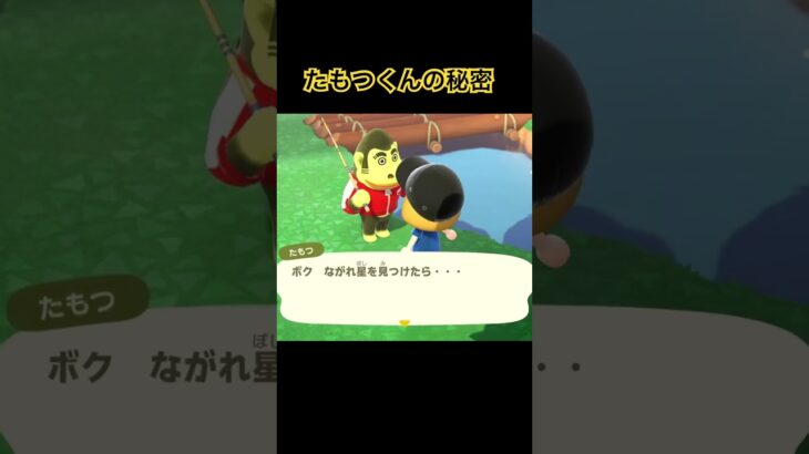 #あつ森 #あつまれどうぶつの森 #どうぶつの森 #ゲーム配信 #ゲーム実況 #animalcrossing #shorts