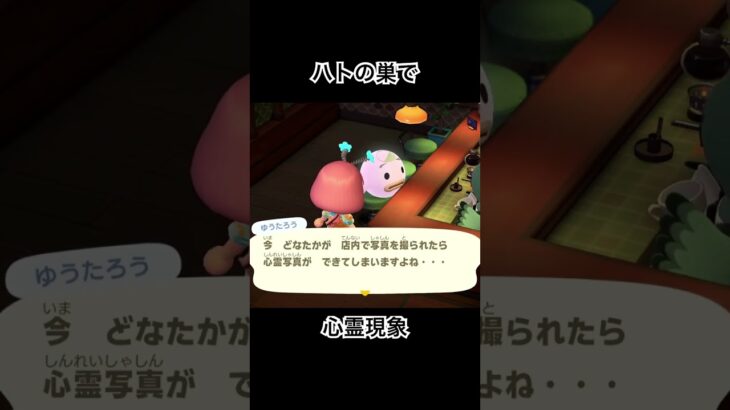 #あつ森 #あつまれどうぶつの森 #ゲーム実況 #ゲーム配信 #どうぶつの森 #animalcrossing #shorts