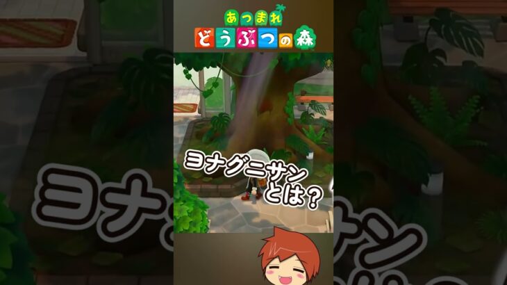 【あつまれどうぶつの森】博物館で昆虫撮影🐌Σ(ﾟ∀ﾟﾉ)ﾃﾞｶｲ!!【ゲーム実況】#shorts #あつ森　#ゲーム配信