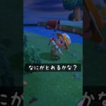 【#あつ森 】なにがとれるかな？〜ロマンチック！〜【#switch 】