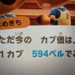 あつ森　カブ５９４誰でも参加可能！！