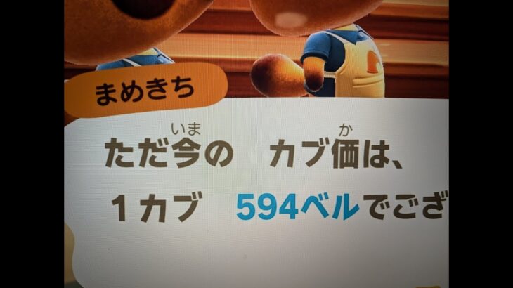 あつ森　カブ５９４誰でも参加可能！！