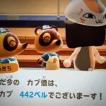 あつ森　カブ４４２誰でも参加可能！！