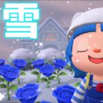 初雪だ！久々のあつ森配信３３日目【あつまれどうぶつの森】