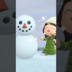 【あつ森ぷち日記】雪の日に遊びました⛄️