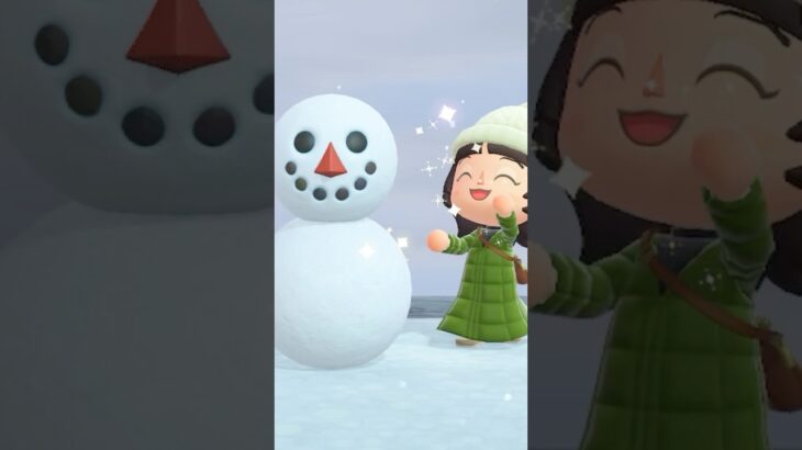 【あつ森ぷち日記】雪の日に遊びました⛄️