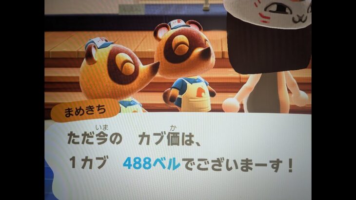 あつ森　カブ４８８誰でも参加可能！！