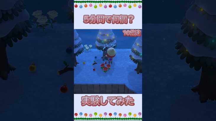 あつ森でクリスマス実験 #あつまれどうぶつの森 #あつ森