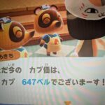 あつ森　カブ６４７誰でも参加可能！！