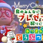 【あつ森】ハッピークリスマス！今日はおこげがサンタさん🎅🎁✨