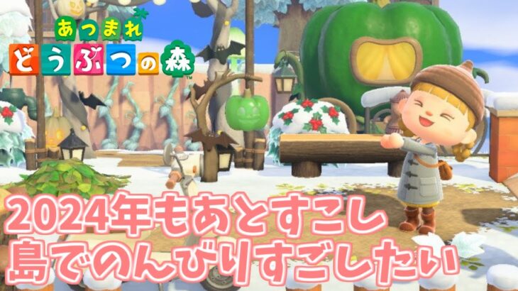 【あつ森】初見さん大歓迎♪２０２４年もあとすこしなのでのんびりすごしたい　【あつまれどうぶつの森／ライブ】