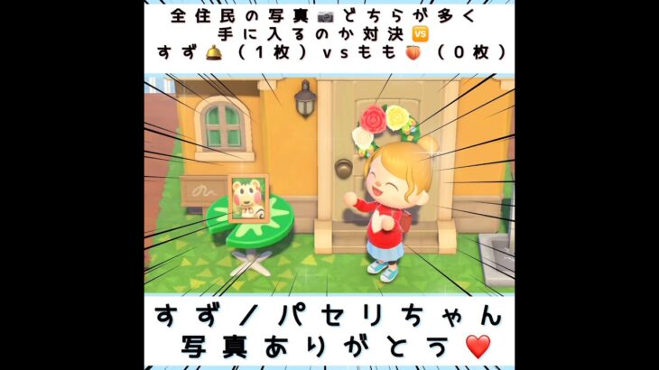 【あつ森】写真対決すずvsもも（パセリちゃんとお別れ）#shorts