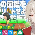 【あつ森】全ての図鑑をコンプリートせよ-虫図鑑編-【新人vtuber /  弐十】