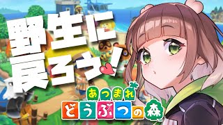 【あつ森】野生に戻りすぎ【#vtuber #新人vtuber】