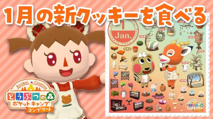 【ポケ森コンプリート】1月の新クッキーを食べよう！ 新家具や1月のイベントもチェックしよう🎵