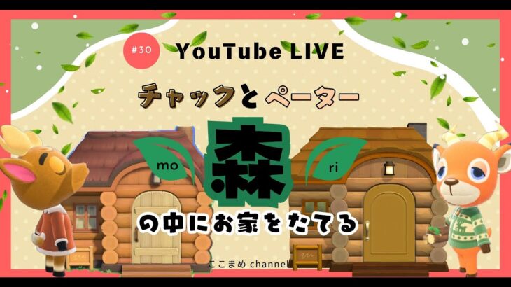 【あつ森】念願の‼ペーターとチャックのお家を隣同士にする🏡【1/16(土)】