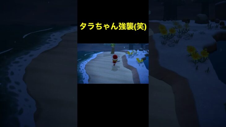 【強襲(笑)あつ森#161】#shorts#switch#あつ森#あつまれどうぶつの森#ゲーム