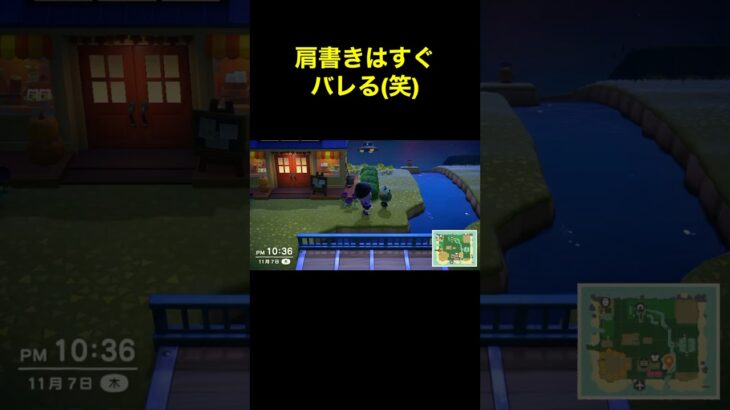 【すぐバラす(笑)あつ森#162】#shorts#switch#あつ森#あつまれどうぶつの森#ゲーム