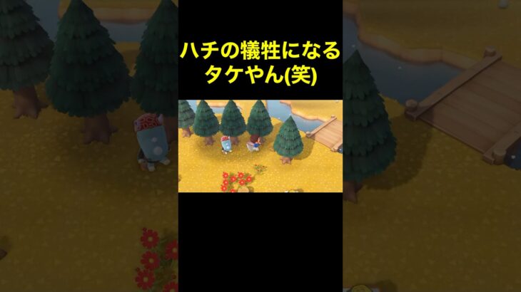 【住人を守る(笑)あつ森#169】#shorts#switch#あつ森#あつまれどうぶつの森#ゲーム