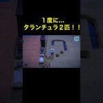 【２匹同時タランチュラ！あつ森#199】#shorts#switch#あつ森#あつまれどうぶつの森#ゲーム