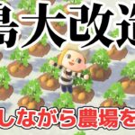 【あつ森 配信】2年放置した島を島クリ！雑談しながら農場を作る！【あつまれどうぶつの森】