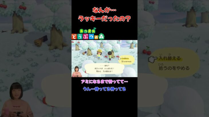 なんか…ラッキーだったの？【あつまれ どうぶつの森(おすそ分け・2人プレイ)】ハチから助けたぞ! #shorts #あつ森 #夫婦実況 #ゲーム実況