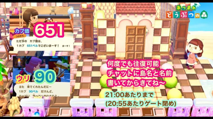 【あつ森】2025,1/25 カブ価651&ウリ90(21:00あたりまで)【チャットに島名と名前書いてからきてね〜】