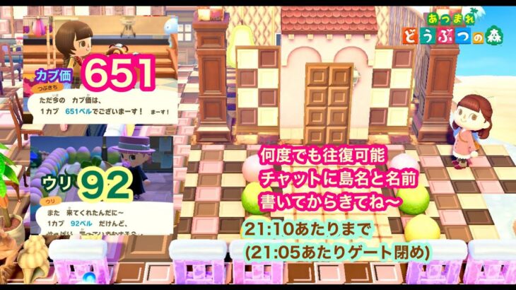 【あつ森】2025,1/26 カブ価651&ウリ92(21:10あたりまで)【チャットに島名と名前書いてからきてね〜】