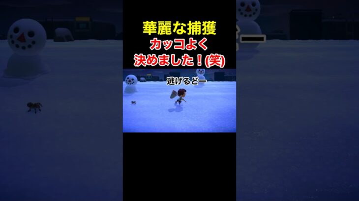 【決めました！(笑)あつ森#212】#shorts#switch#あつ森#あつまれどうぶつの森#ゲーム