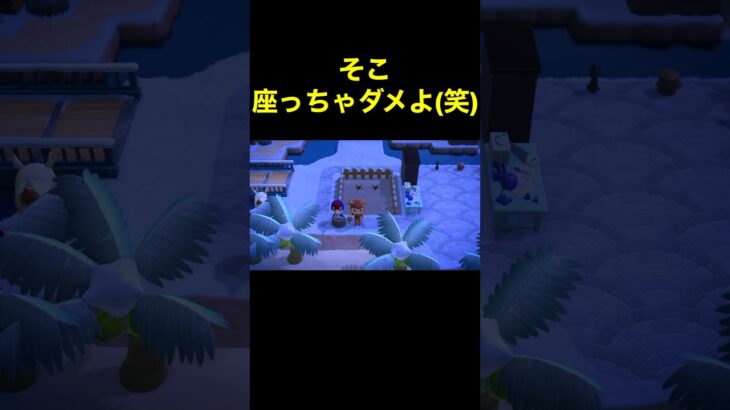 【そこダメよ(笑)あつ森#213】#shorts#switch#あつ森#あつまれどうぶつの森#ゲーム