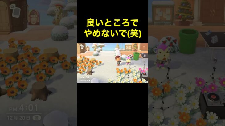 【止めないで(笑)あつ森#218】#shorts#switch#あつ森#あつまれどうぶつの森#ゲーム