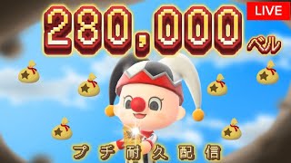 【あつ森】28万集めるぞ～！