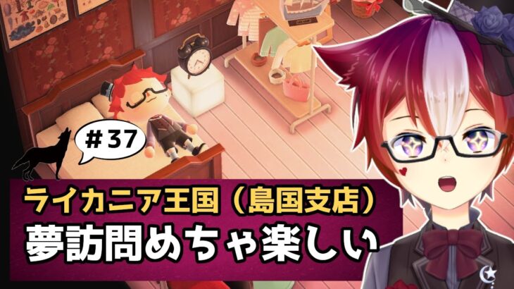 【雑談/あつ森 #37】ランダム夢見が楽しくなってきた子オオカミ編 あつまれどうぶつの森【Vtuber/雪星ケン】