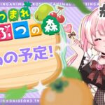 【#あつ森 】無人島生活45日目・夜【#新人vtuber 】