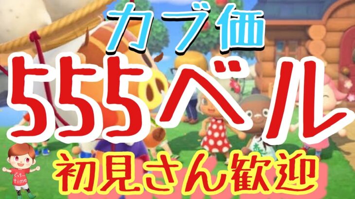 【あつ森とテトリス】カブ価555ベル島など　ライブ参加型