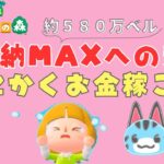 #6 【あつ森】💰収納MAX目指してお金を稼ぐぞ！