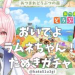 【あつ森 】#8 懲りずにたぬきガチャ！ラムネちゃん、今夜は来てくれるよね？/Animal Crossing: New Horizons【#新人vtuber 】