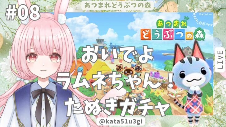 【あつ森 】#8 懲りずにたぬきガチャ！ラムネちゃん、今夜は来てくれるよね？/Animal Crossing: New Horizons【#新人vtuber 】