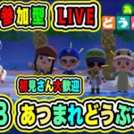 【あつまれどうぶつの森🌟参加型】家具取り放題🔥島訪問💎探索など🎉初見さん大歓迎💖【氷川つき/VTuber】#あつ森 #VTuber #148