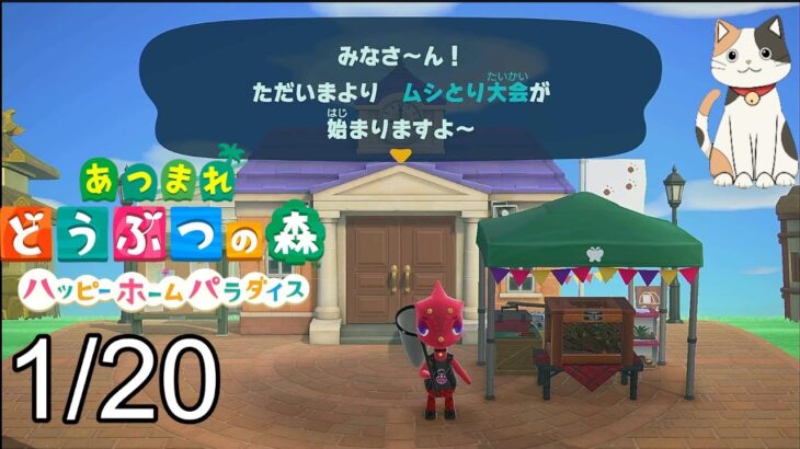 【あつ森ハピパラ】ほしのかけらプレゼント、希望者は島に招待します＆夢番地をコメントで、島の招待パスワードはXのDMで送ってくれたら行きます【あつまれどうぶつの森ハッピーホームパラダイス】ネタバレ注意