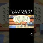 カブ楽しい #あつまれどうぶつの森 #あつ森 #animalcrossing