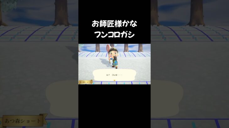 【あつ森】お師匠様かなフンコロガシ #animalcrossing #acnh #あつ森 #あつまれどうぶつの森 #ジムノエ