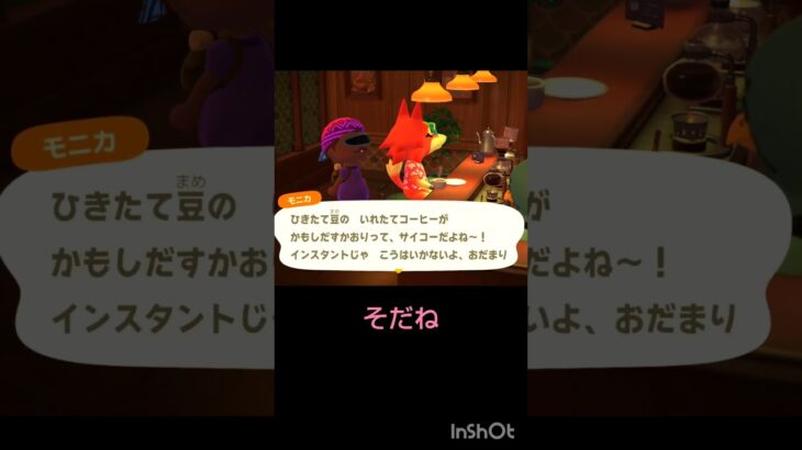 【あつ森】　モニカ🐺のコーヒー☕️ブレイク。 #animalcrossing #shorts