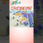 【あつ森】最近見ないか？！#あつまれどうぶつの森 #ゲーム #nintendoswitch #ACNH #shorts  #BGM  #スコップ #バグ