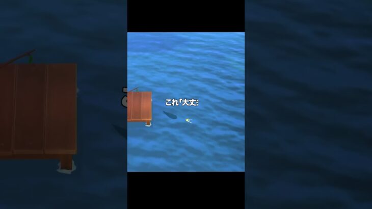 お魚集め始めよか [あつ森]#shorts