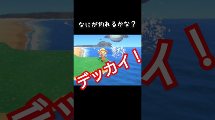 【#あつ森】なにが釣れるかな？〜デッカイ！〜【#switch 】